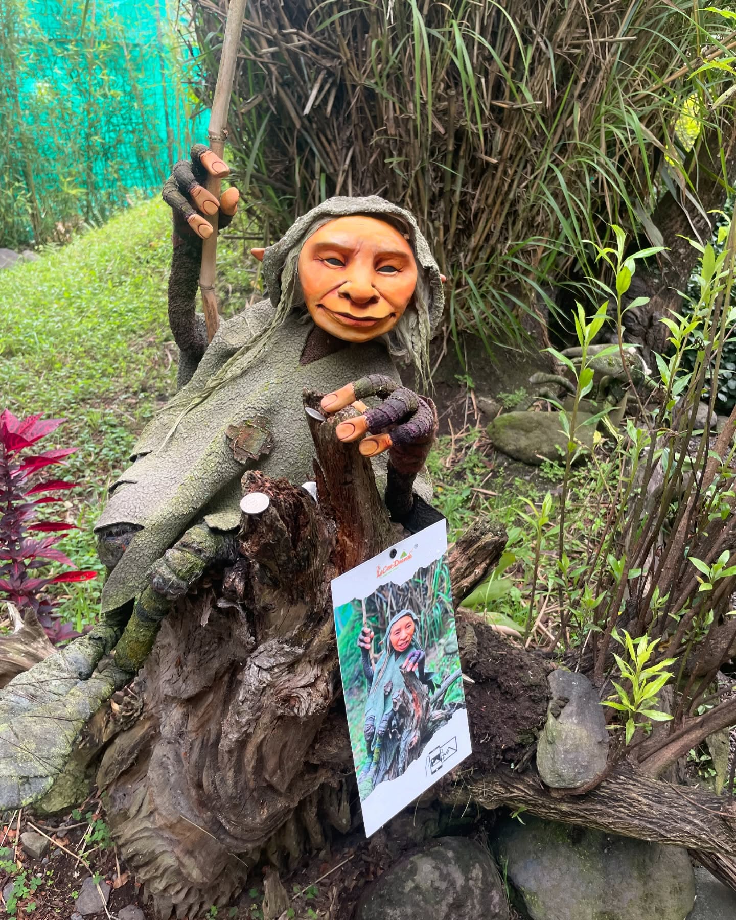 Luces suaves al caer la tarde en el jardín